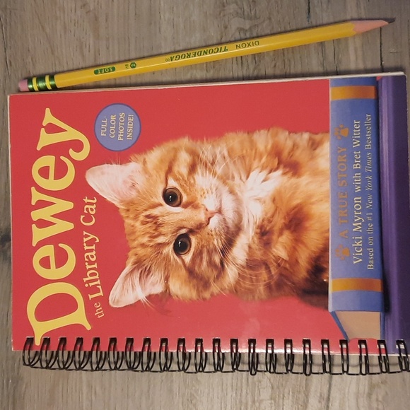 Hand Crafted Other - Secret Journal "Dewey the Library Cat"
